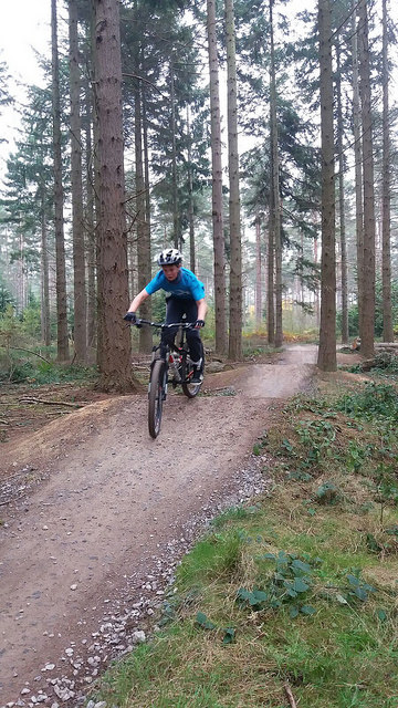 bedgebury forest mtb
