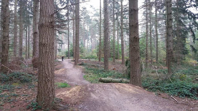 Cycling at Bedgebury Forest