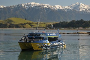 Photo: Whale Watch Kaikoura