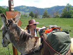 donkey-trekking