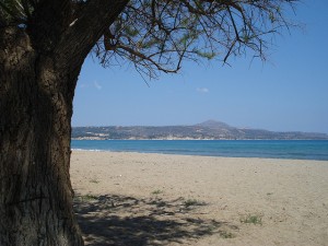 Which beach will we choose today?