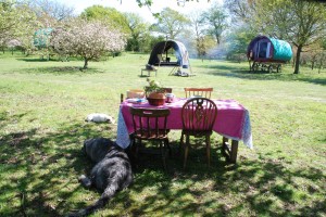 The Gypsy Camp lower res