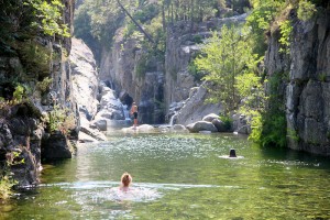 wild swim 2