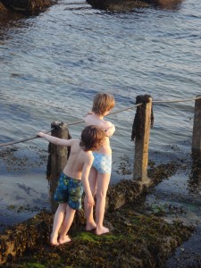 wild swimming 2