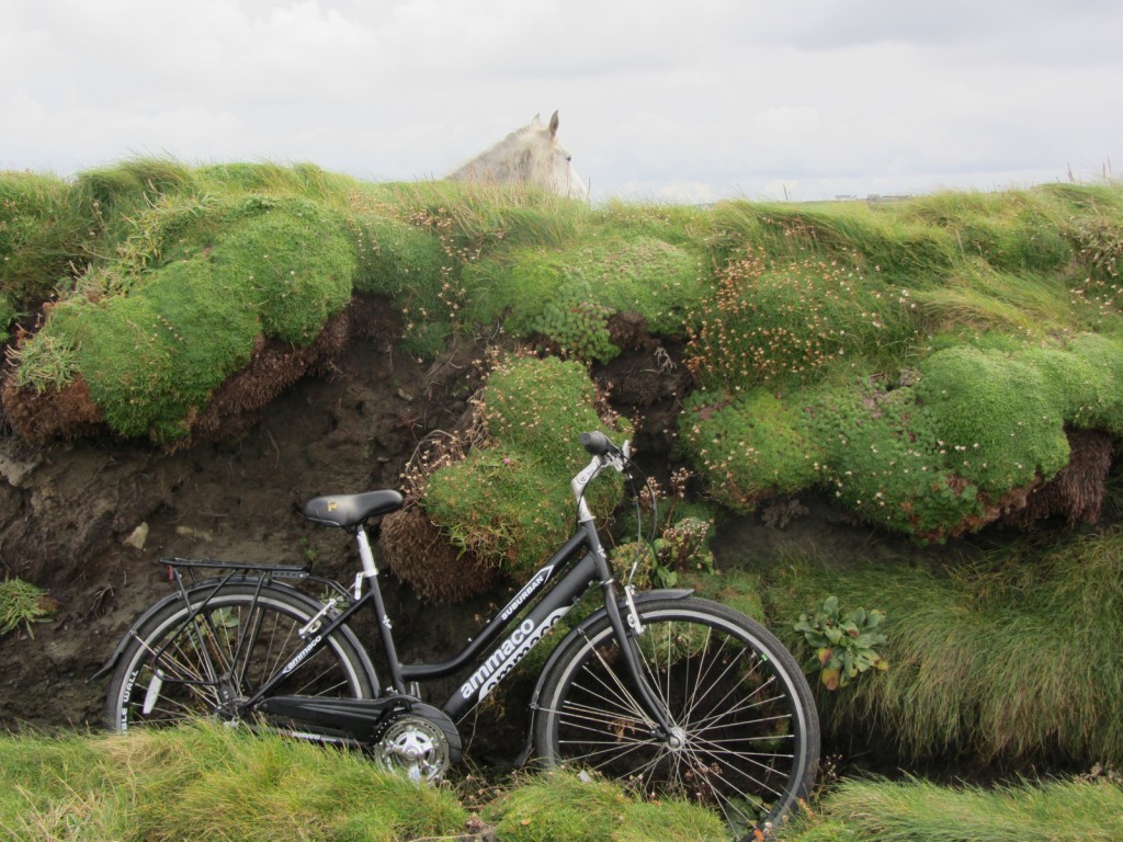 Cycling along the Loop Head Cycle Trail, with hardly a soul en route Photo: Catherine Mack