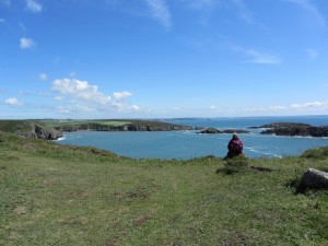 Pembrokeshire coat path between St justinian's bay and Porth Clais