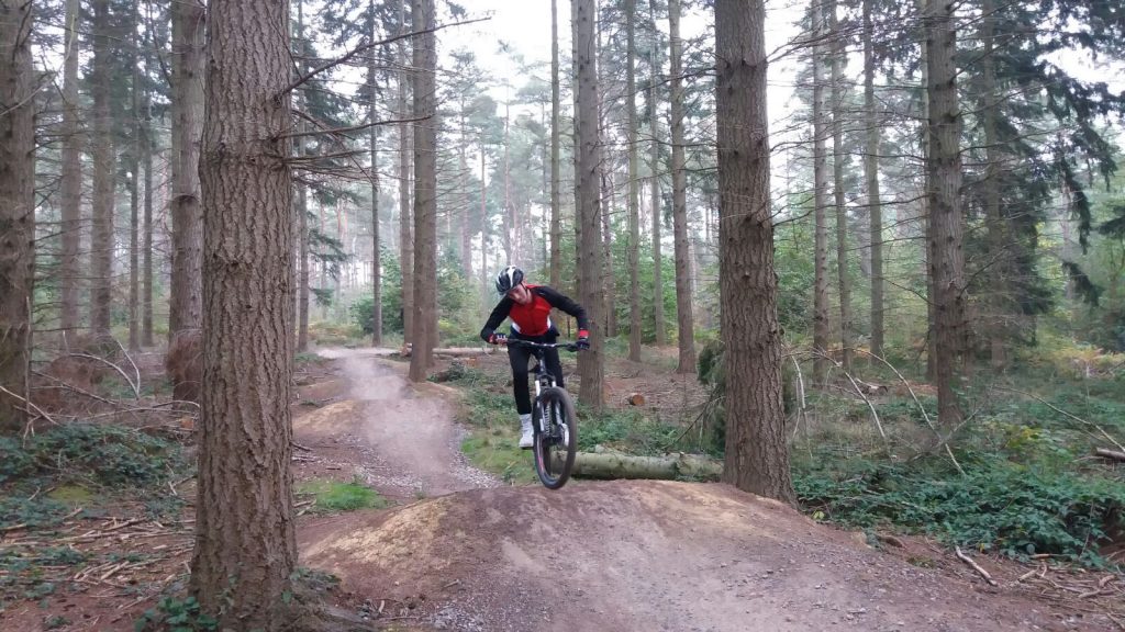 Cycling at Bedgebury Forest