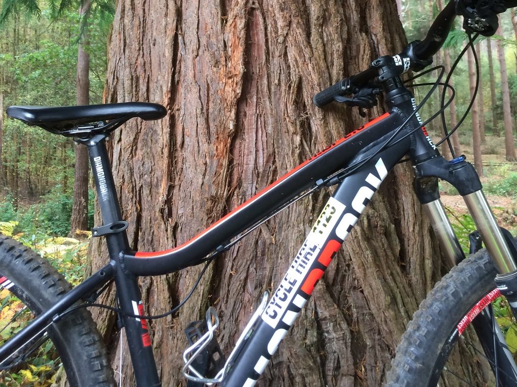 Cycling at Bedgebury Forest 