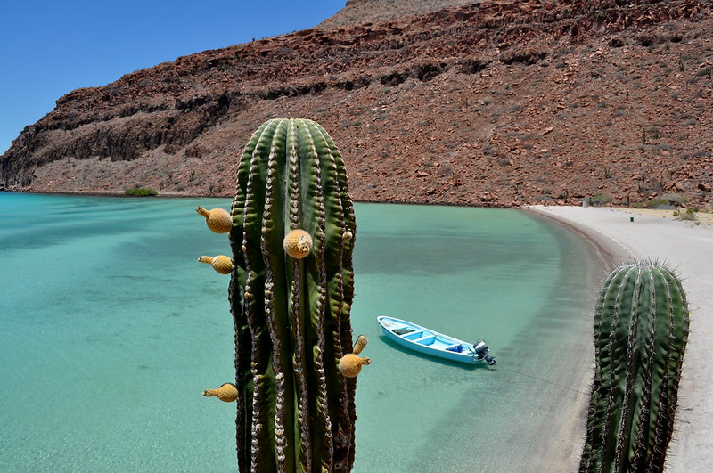 Isla Espiritu Santo, Baja California Sur, Mexico - one of the best spots for sea kayaking in Mexico