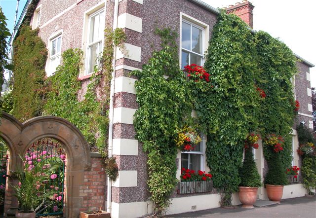Laurel Villa Guest House - one of the best places to stay near Homeplace