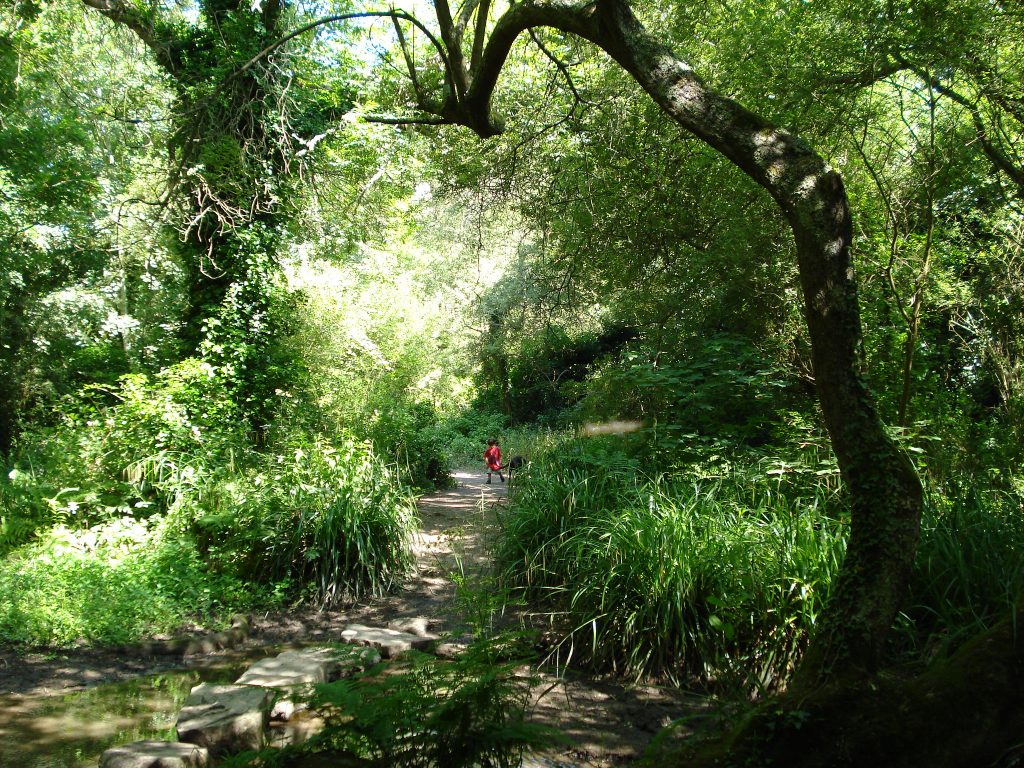 The green way across Jersey