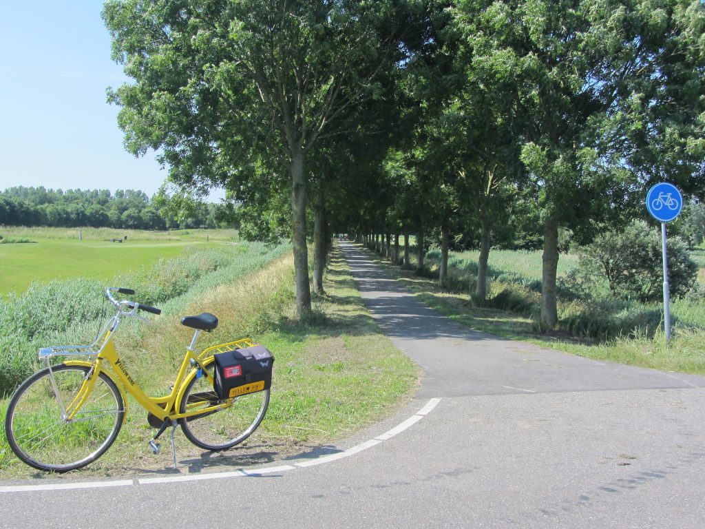 Cycling in Amsterdam