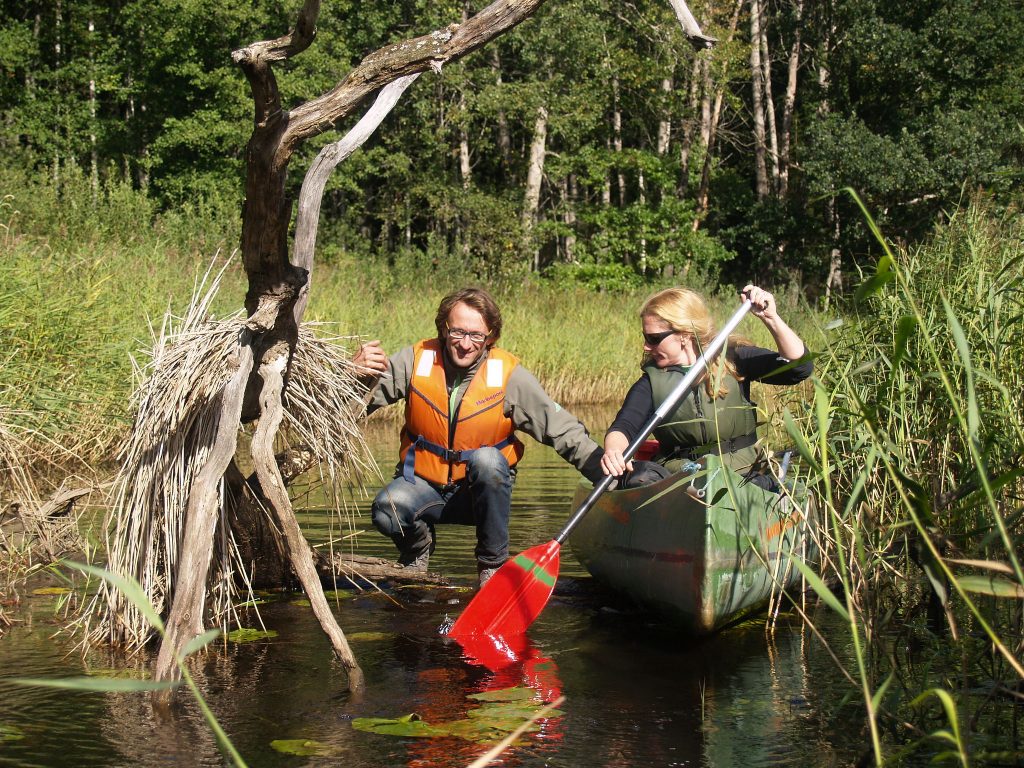 Canoeing on an adventure holiday in Estonia's Soomaa National Park