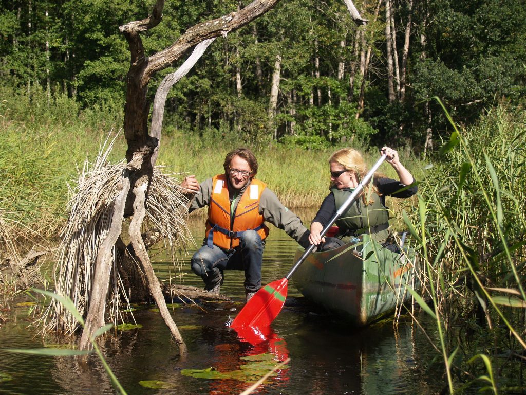 Canoeing on an adventure holiday in Estonia's Soomaa National Park 