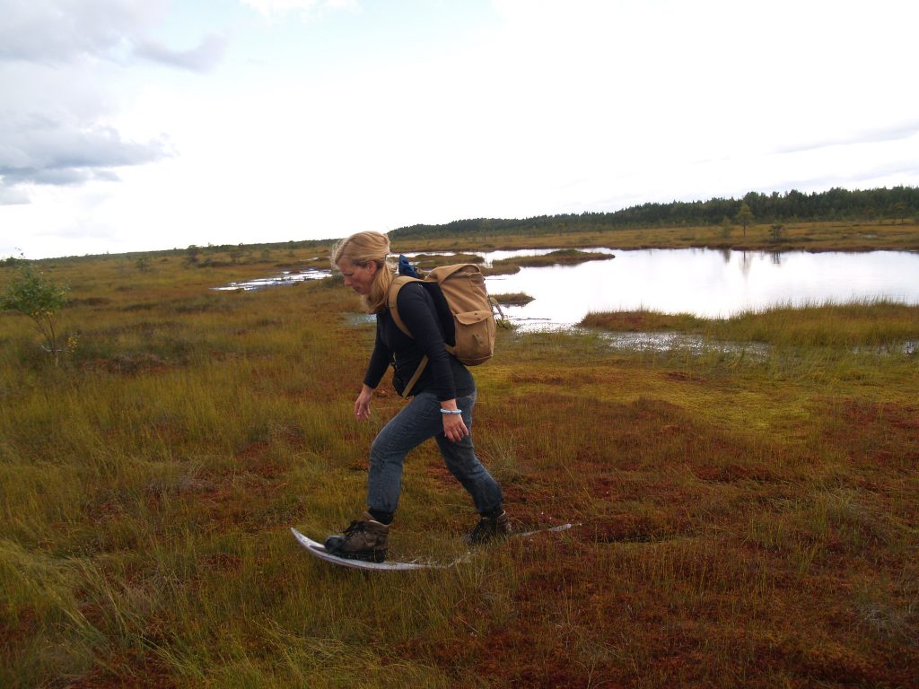 Bog shoeing in Soomaa National Park on an adventure holiday in Estonia